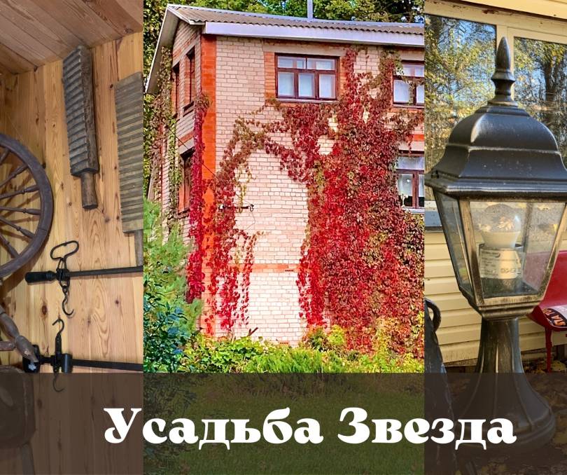 Звездная усадьба рядом с Оршей - kvartirka.by