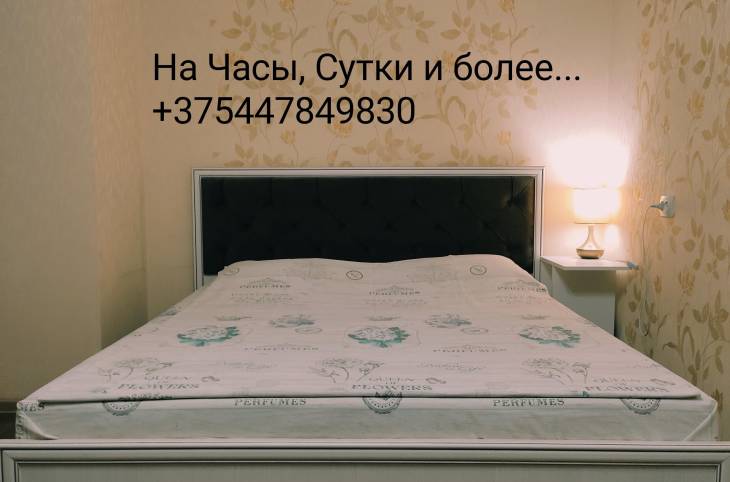 1-Комнатная квартира на сутки в  Гомеле,  Кирова ул., 46    изображение 7 - kvartirka.by