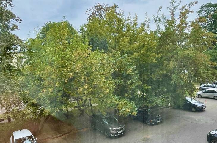 2-Комнатная квартира на сутки в  Минске,  Независимости пр-т., 16    изображение 21 - kvartirka.by