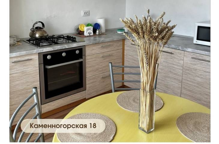 1-Комнатная квартира на сутки в  Минске,  Каменногорская ул., 18    изображение 1 - kvartirka.by