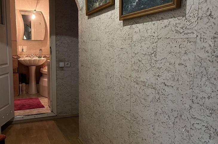 4-Комнатная квартира на сутки в  Гомеле,  Речицкий пр., 83    изображение 8 - kvartirka.by