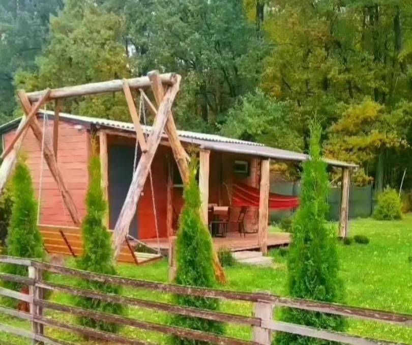 Усадьба " Forest House" в Беловежской пуще  - kvartirka.by