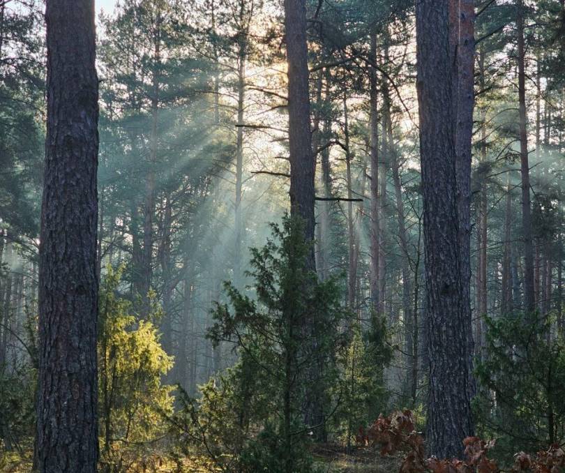 Усадьба Чорны Вір - kvartirka.by