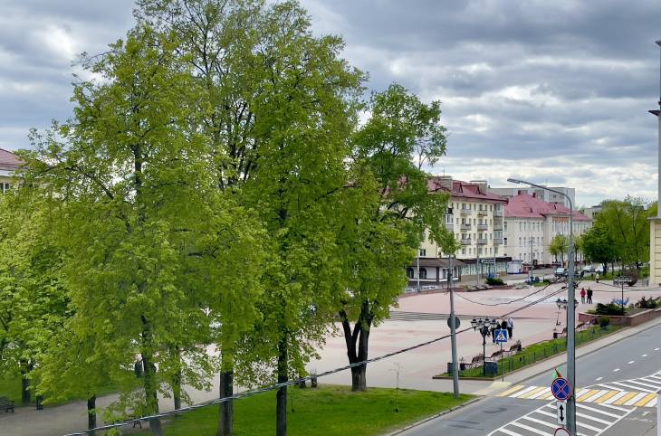 3-Комнатная квартира на сутки в  Полоцке,  Скорины Франциска пр-т., 21    изображение 24 - kvartirka.by