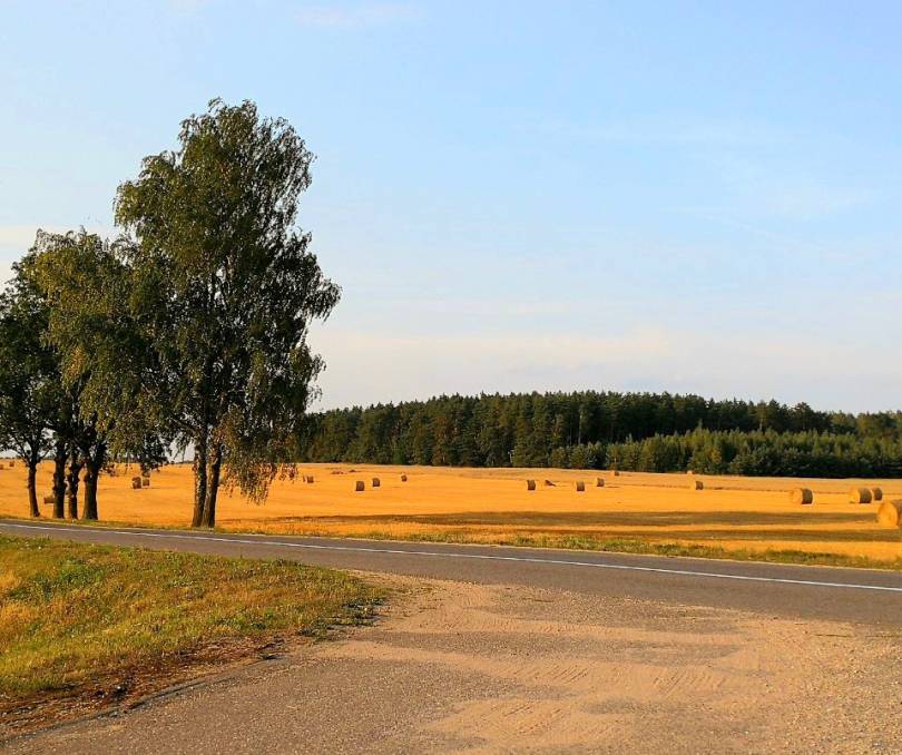 Казачий стан - kvartirka.by