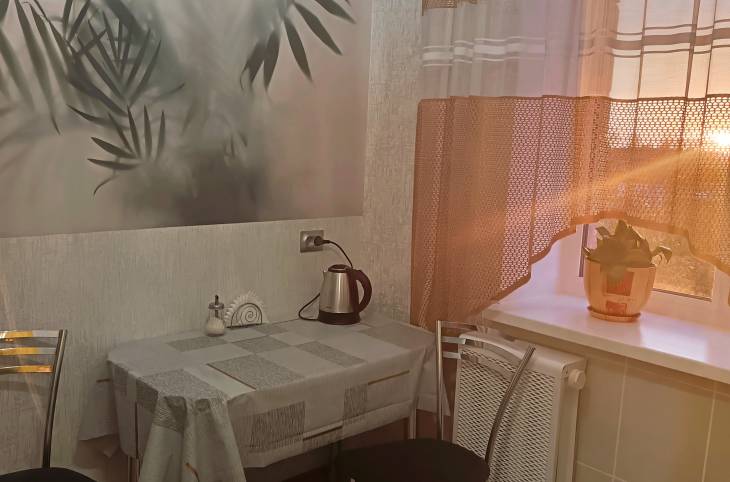 1-Комнатная квартира на сутки в  Пинске,  Телефонная ул., 15    изображение 5 - kvartirka.by