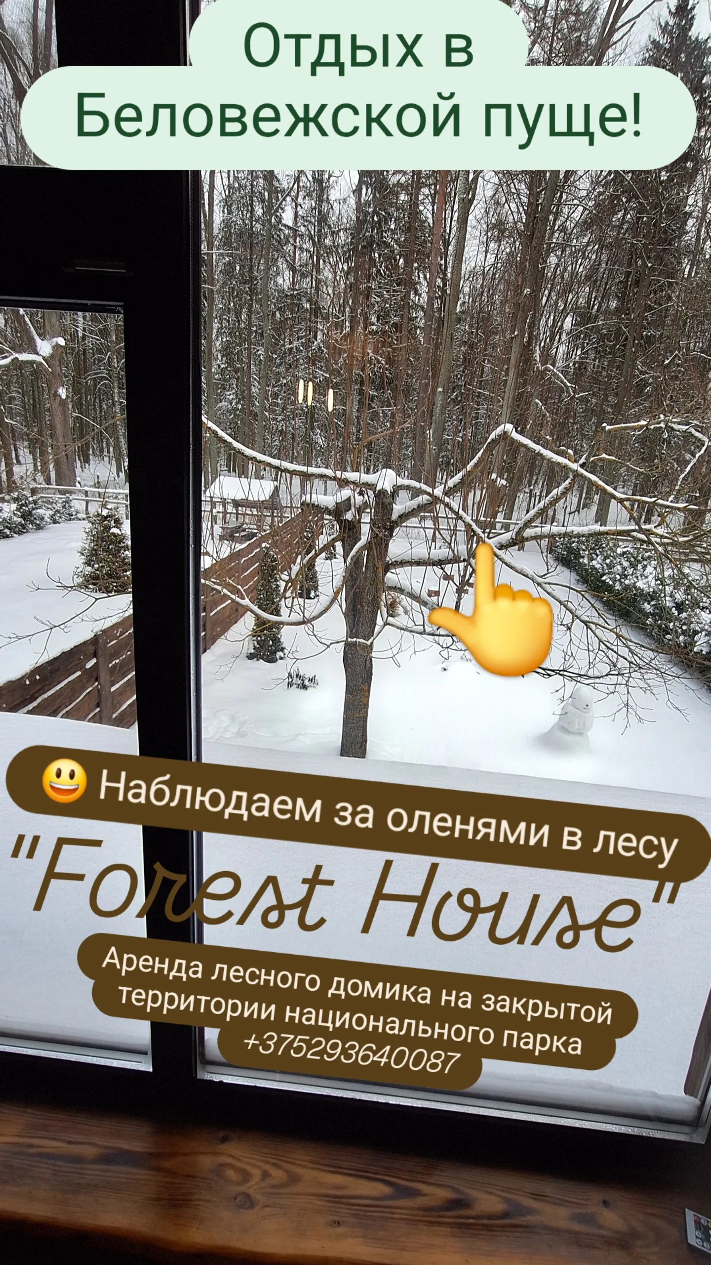"Forest House "в Беловежской пуще(закрытая территория парка) - kvartirka.by